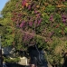 sanur_v_0048_bal4189.jpg